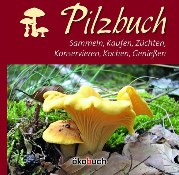 Das große Pilzbuch